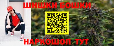 индика Кулебаки