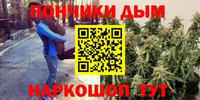 индика Кулебаки