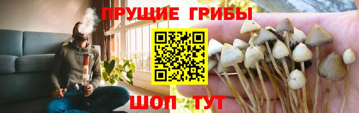 Псилоцибиновые грибы Psilocybine cubensis  Вход с VPN  закладка  Псилоцибиновые грибы MAGIC MUSHROOMS  Юрга 