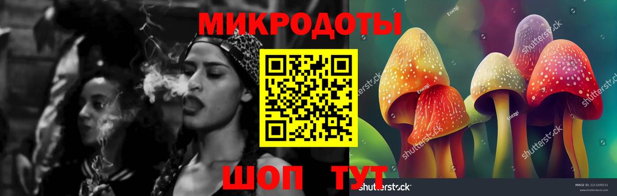 Псилоцибиновые грибы Psilocybine cubensis Юрга